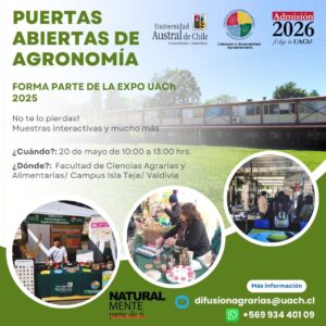 Lorem Ipsum Dolor
